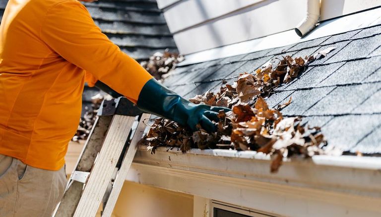 Gutter Cleaning serviec